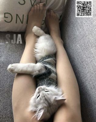 激情六月激情网久久_1080HD高清在线观看