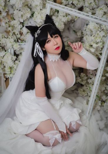 gaylive在线观看_青苹果乐园免费高清观看